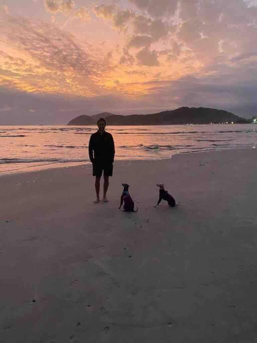 Novo-Refugio Do Arquiteto - Casa Coqueiro, 4 Minutos Caminhando Ate A Praia Сан-Себастьян Экстерьер фото
